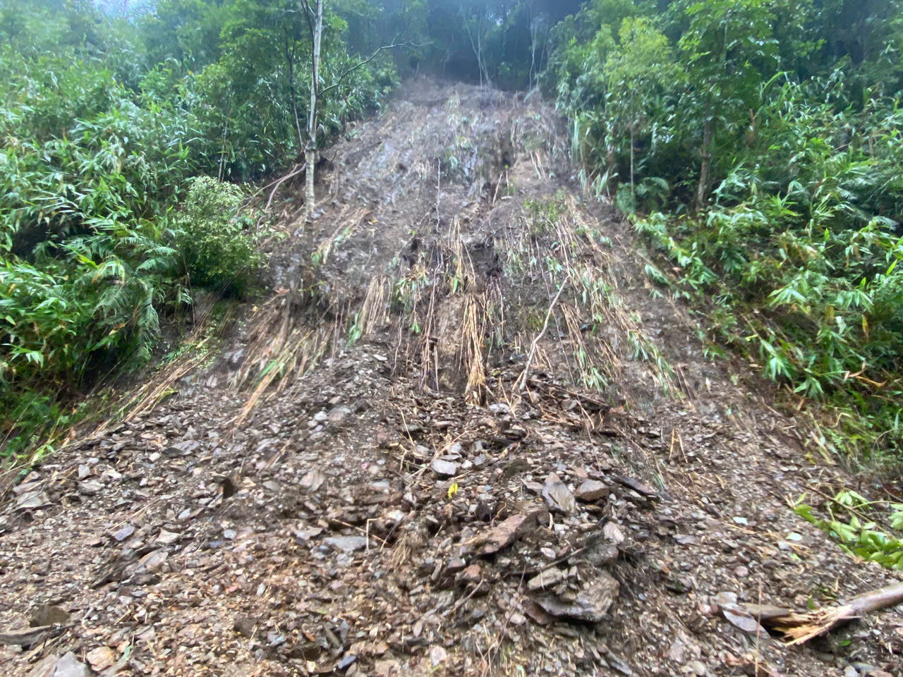 Cận cảnh cung đường sạt lở trên dãy Trường Sơn- Ảnh 6.