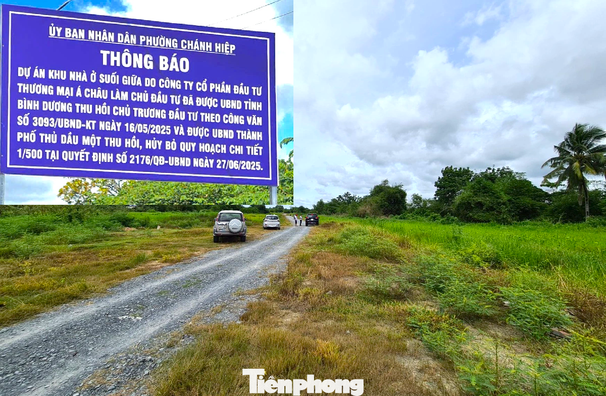 Điểm mặt những dự án nhà ở nằm bất động trên 'đất vàng' nhiều năm ở TPHCM- Ảnh 4.