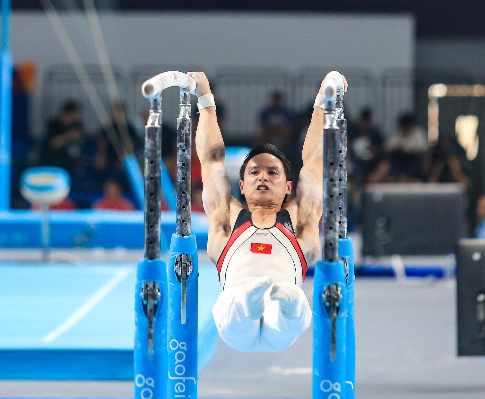 Đinh Phương Thành là ai?- Ảnh 4.