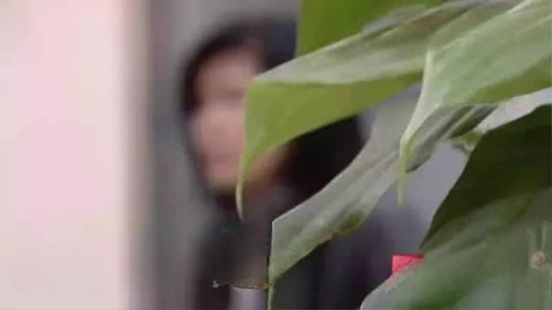 Người phụ nữ mua BĐS 280m2 giá 4 tỷ đồng nhưng được đền bù 55 tỷ lại chẳng chịu di dời: “Tại sao không phải 110 tỷ?”- Ảnh 1.