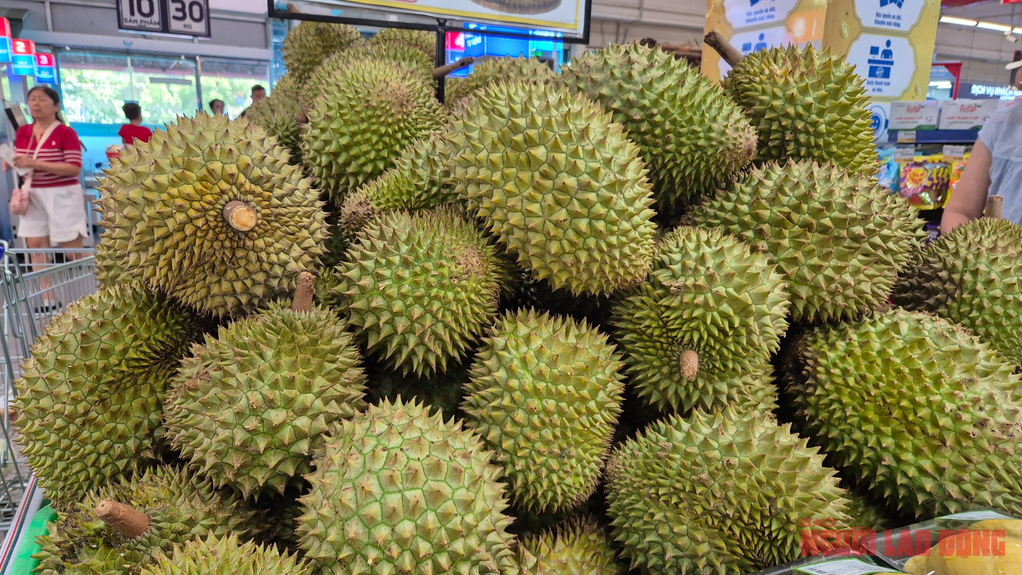 Giá sầu riêng tăng vọt nhưng nông dân vẫn kém vui- Ảnh 1.