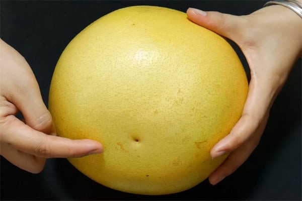 Mua bưởi, cứ học thuộc mẹo này là biết ngay bưởi ngon hay bưởi dở- Ảnh 3.
