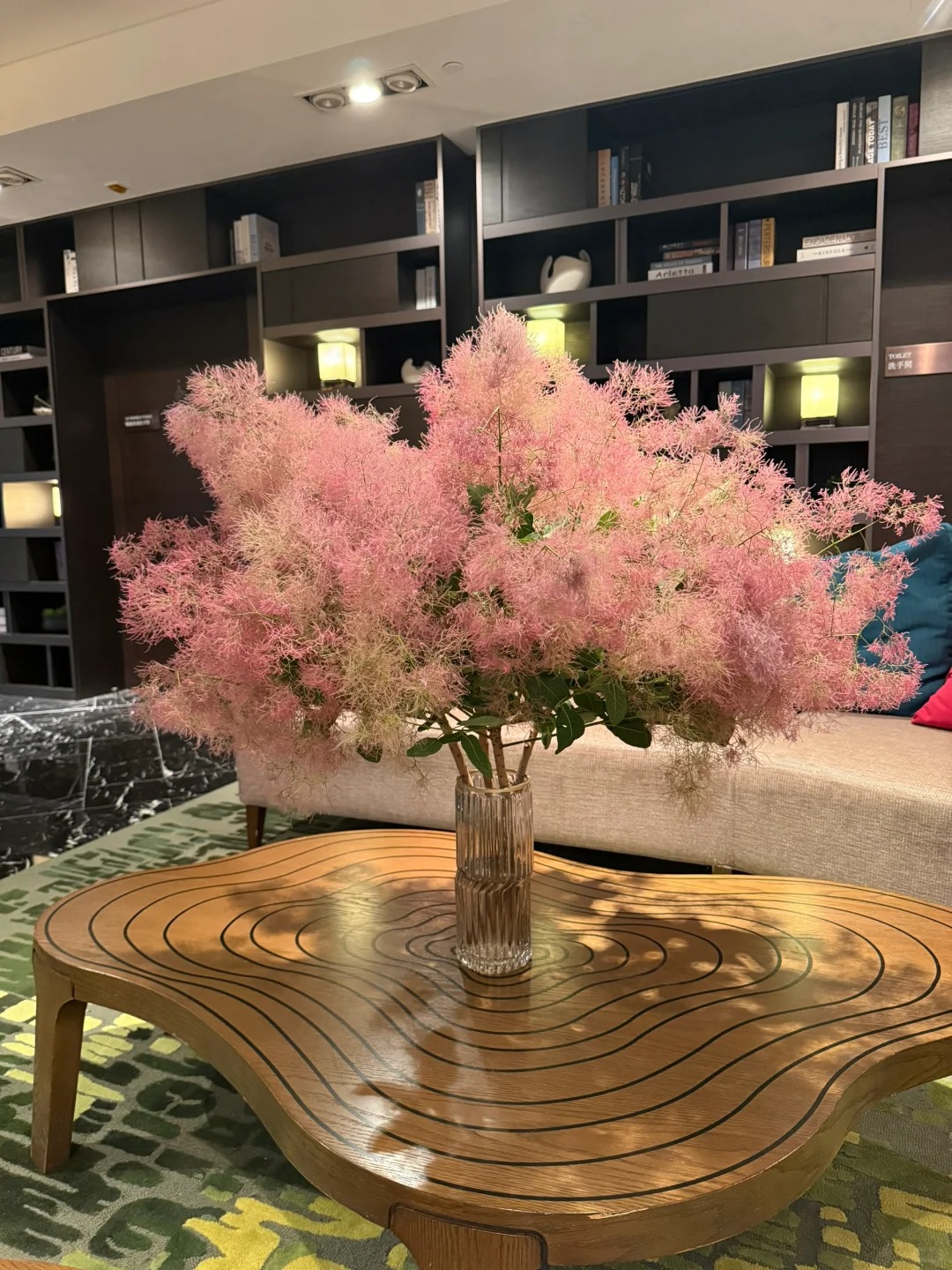 "Lạc lối" trước bình hoa khói tím: Loài cây nhìn như mây bông đang gây sốt góc nhà chị em- Ảnh 14.