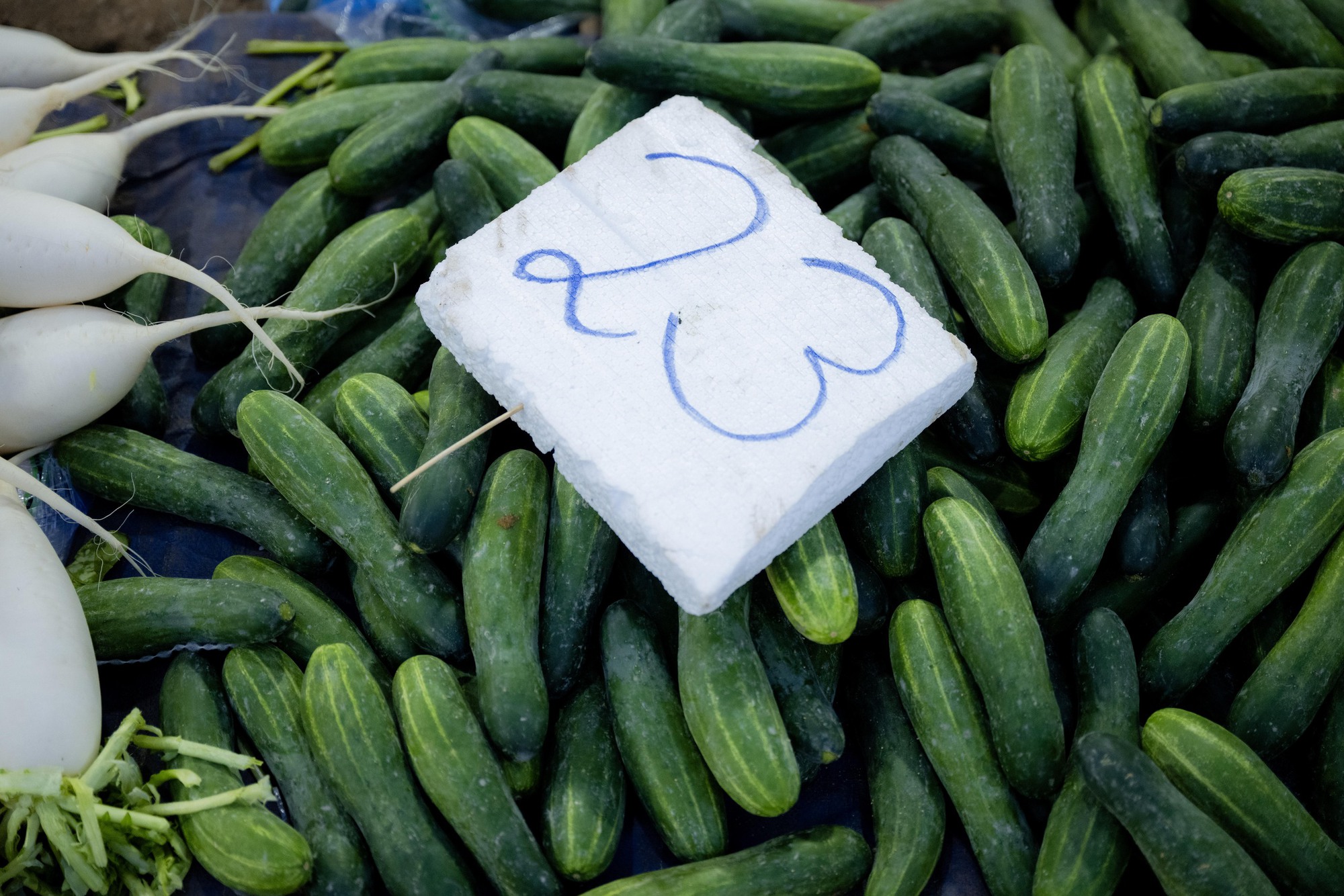 Sự thật Sự thật