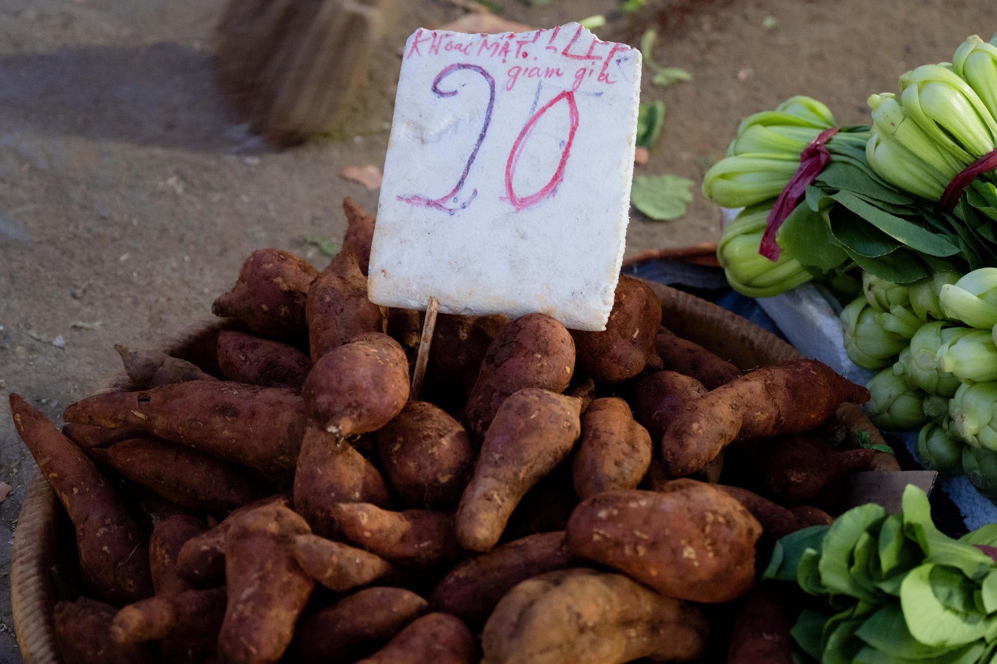 Sự thật Sự thật