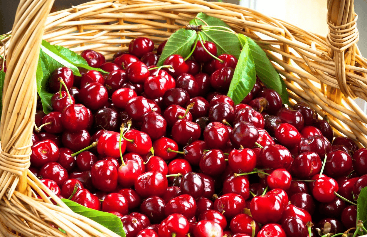 Mùa đông miễn dịch kém, dễ ốm - hãy ăn nhiều 8 loại rau quả này: Giàu vitamin C, ăn sớm hưởng lợi sớm- Ảnh 8. Mùa đông miễn dịch kém, dễ ốm - hãy ăn nhiều 8 loại rau quả này: Giàu vitamin C, ăn sớm hưởng lợi sớm- Ảnh 8.