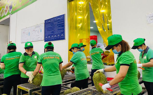 Rau quả Việt Nam: Đón kỷ lục 7 tỷ USD, thăng hạng chinh phục thị trường Mỹ, EU- Ảnh 1.
