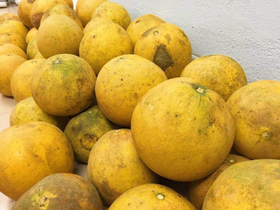 Mua bưởi, cứ học thuộc mẹo này là biết ngay bưởi ngon hay bưởi dở- Ảnh 1.