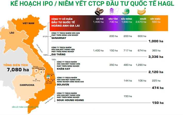 Phần tài sản giá trị nhất của HAGL bất ngờ tập trung vào đơn vị “chỉ để làm thương mại”, phía sau là lý do chưa thể tiết lộ của Bầu Đức- Ảnh 1. Phần tài sản giá trị nhất của HAGL bất ngờ tập trung vào đơn vị “chỉ để làm thương mại”, phía sau là lý do chưa thể tiết lộ của Bầu Đức- Ảnh 1.
