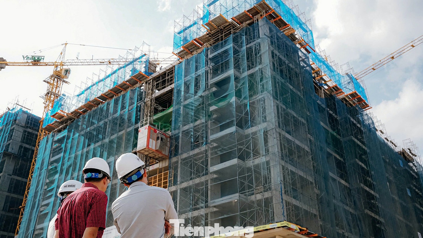 Phát hiện loạt hồ sơ mua NƠXH không đúng đối tượng- Ảnh 3.