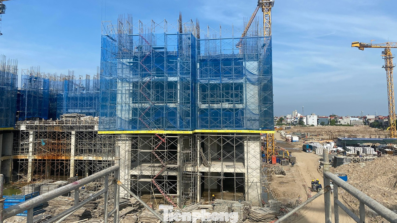 Phát hiện loạt hồ sơ mua NƠXH không đúng đối tượng- Ảnh 4.