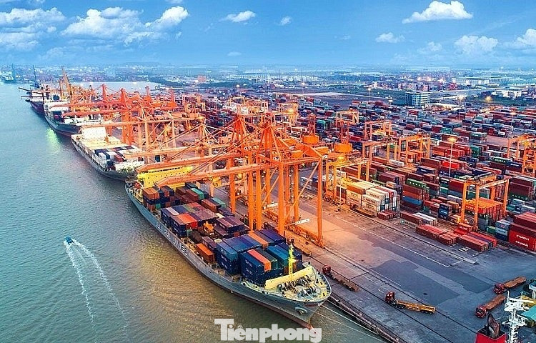 Việt Nam có tiềm năng lớn phát triển cảng xanh, thông minh- Ảnh 2.