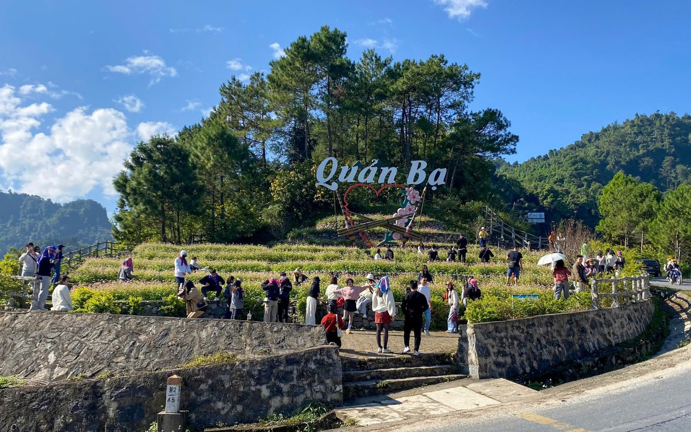 Gen Z rủ nhau lên núi săn mây, ngắm hoa tam giác mạch- Ảnh 1.