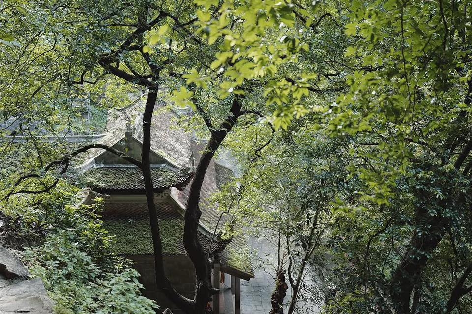 HOT: Suzy đang có mặt ở Việt Nam, cả MXH soi từ hàng cây cho đến vỉa hè để tìm địa điểm check-in- Ảnh 5. HOT: Suzy đang có mặt ở Việt Nam, cả MXH soi từ hàng cây cho đến vỉa hè để tìm địa điểm check-in- Ảnh 5.