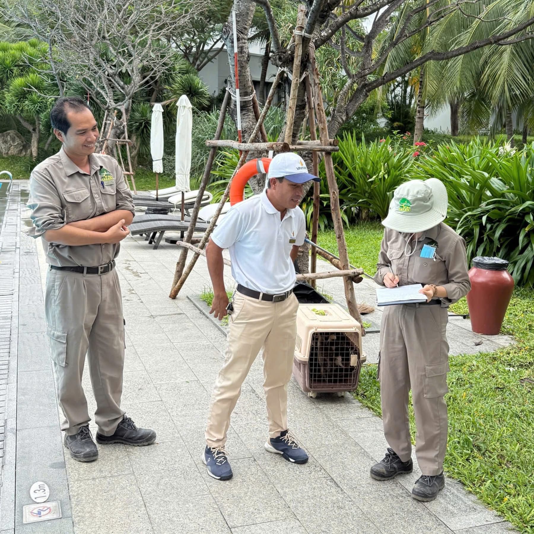 Fanpage của Vinpearl Nha Trang thông báo về tình trạng của đàn vịt 