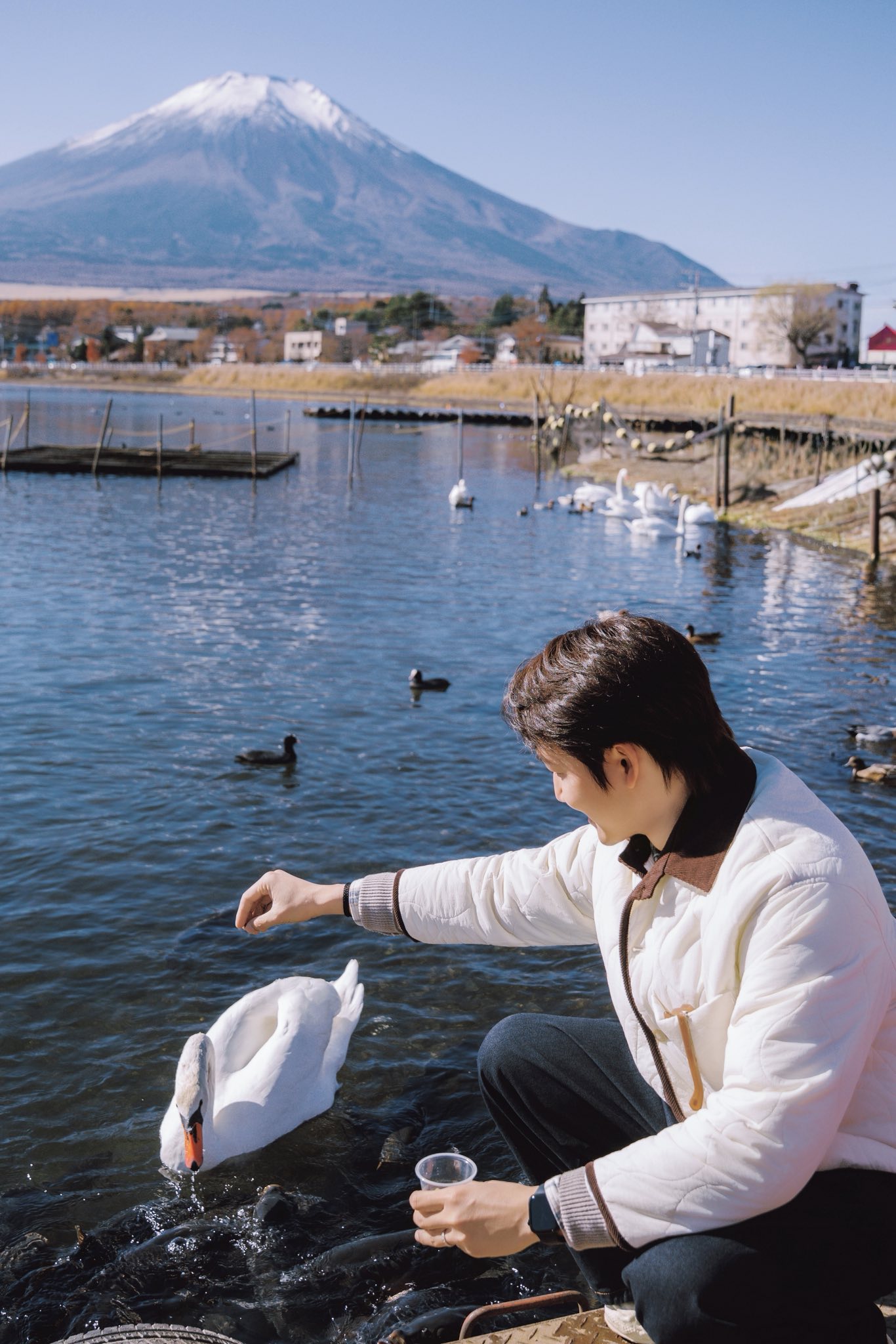 Quá mê đôi vợ chồng đẹp nhất vũ trụ VFC: Visual 