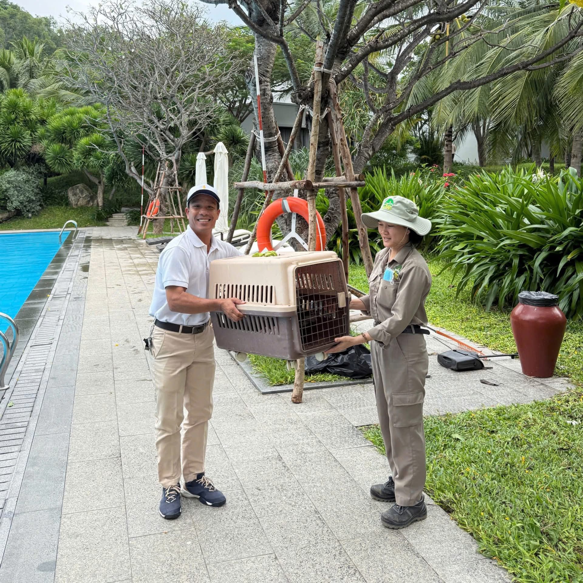 Fanpage của Vinpearl Nha Trang thông báo về tình trạng của đàn vịt 