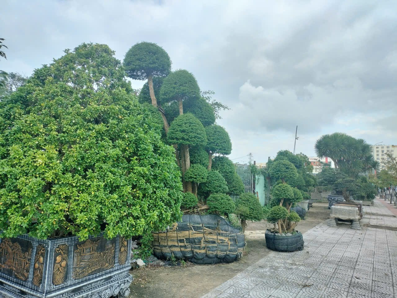 Cận cảnh tiến độ các dự án nhà ở xã hội 'hot' ở trung tâm Đà Nẵng- Ảnh 10.