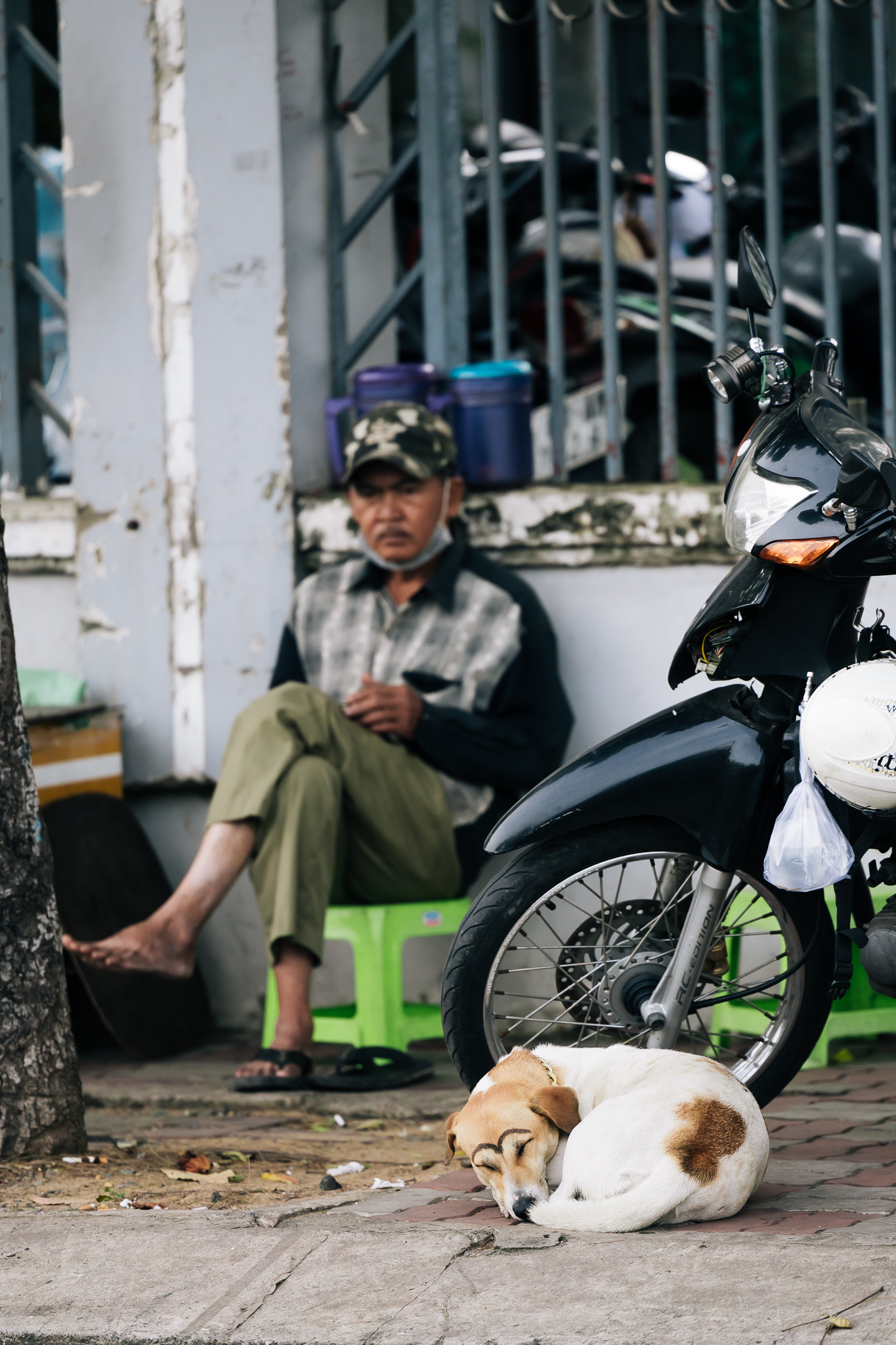 Chùm ảnh: TP.HCM trong ngày rét 19 độ C hiếm thấy- Ảnh 13. Chùm ảnh: TP.HCM trong ngày rét 19 độ C hiếm thấy- Ảnh 13.