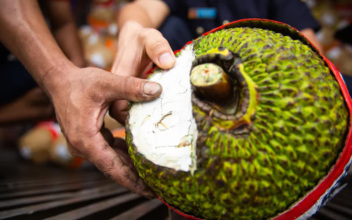 Mít tươi xuất khẩu chính ngạch sang Trung Quốc