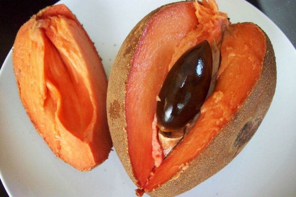 Loại quả xưa không ai biết, nay thành đặc sản bổ như nhân sâm, giá ngất ngưởng 400.000 đồng/kg- Ảnh 1.