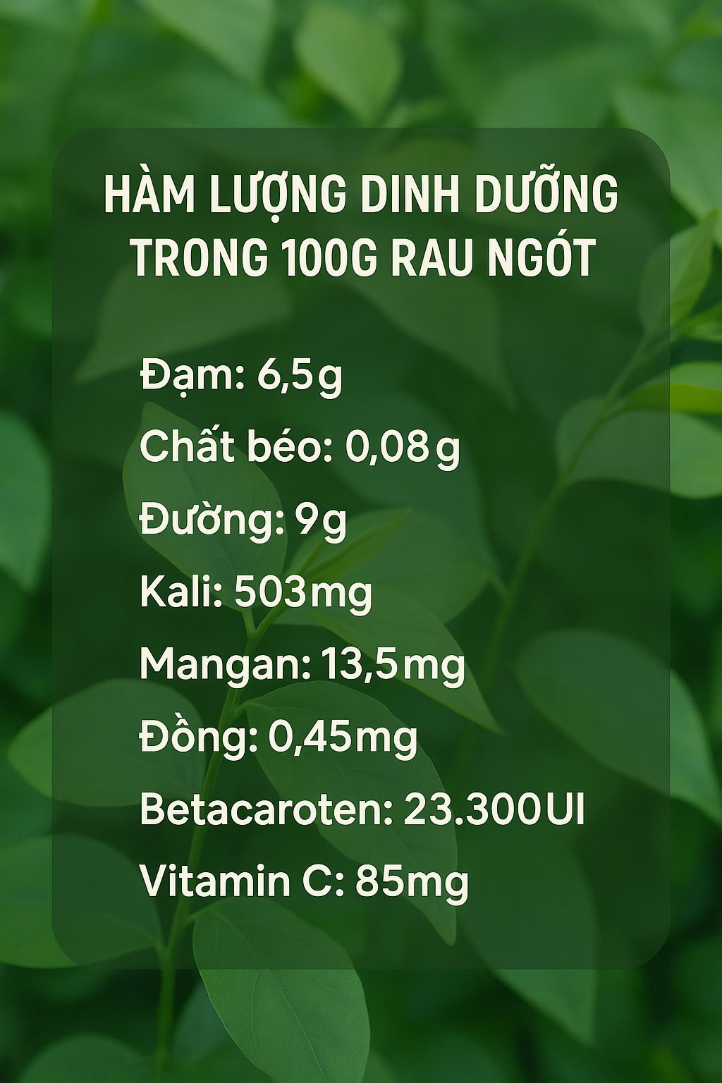 Loại rau nhiều sắt gấp 6 lần thịt bò, giúp bồi bổ sức khỏe: Mọc đầy góc vườn, còn được dùng làm thuốc- Ảnh 1. Loại rau nhiều sắt gấp 6 lần thịt bò, giúp bồi bổ sức khỏe: Mọc đầy góc vườn, còn được dùng làm thuốc- Ảnh 1.