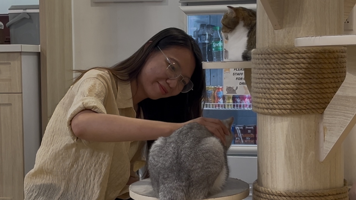 Quán cà phê thú cưng lúng túng khai báo việc nuôi chó, mèo- Ảnh 2. Quán cà phê thú cưng lúng túng khai báo việc nuôi chó, mèo- Ảnh 2.