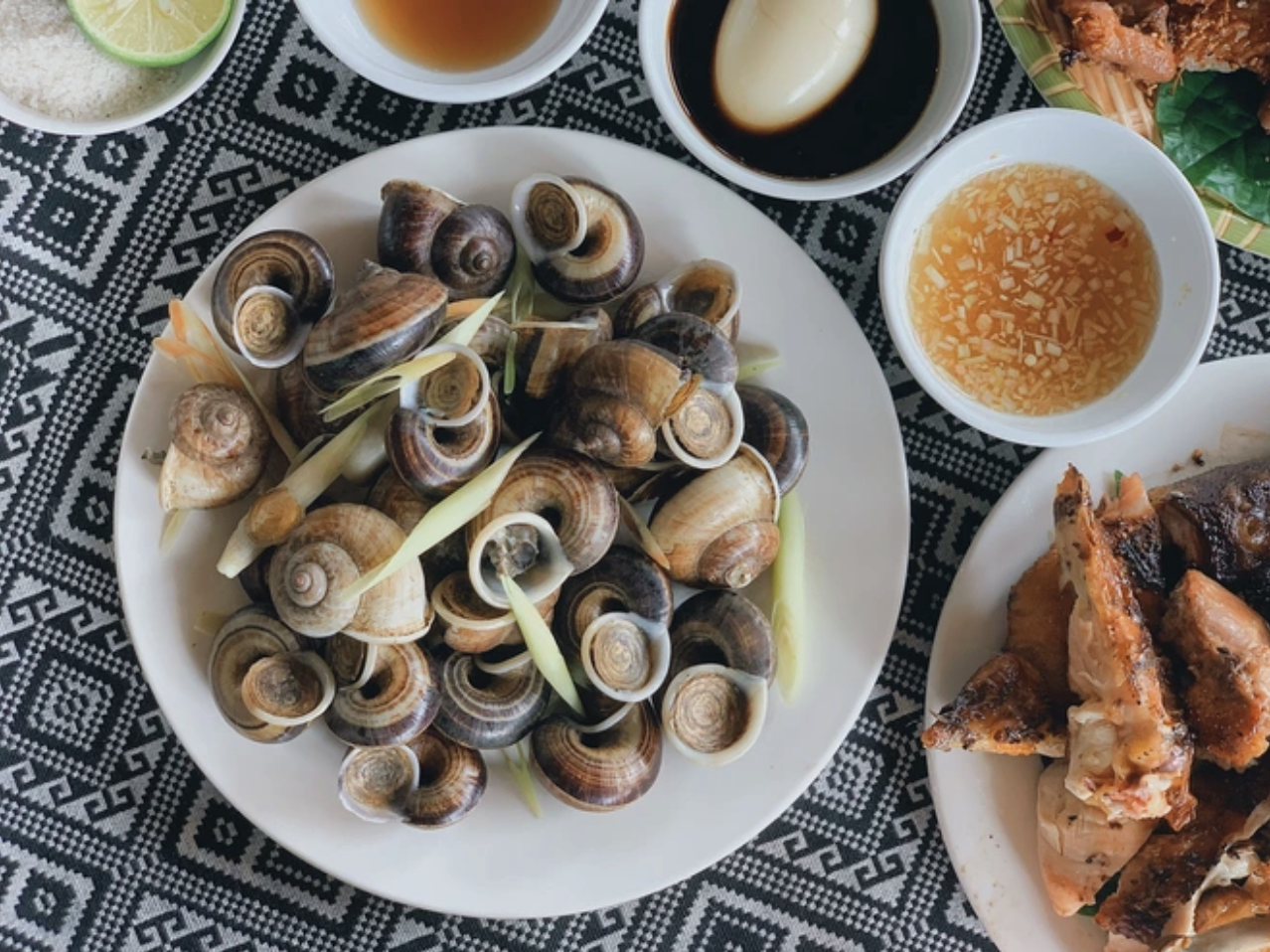 Loài vật tưởng chỉ có dưới nước, ai ngờ còn "bò" lên núi và trở thành đặc sản được săn lùng- Ảnh 1. Loài vật tưởng chỉ có dưới nước, ai ngờ còn "bò" lên núi và trở thành đặc sản được săn lùng- Ảnh 1.