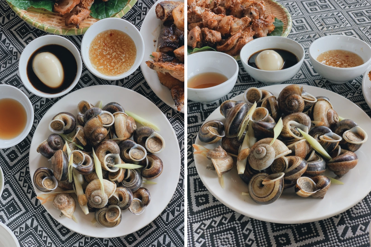 Loài vật tưởng chỉ có dưới nước, ai ngờ còn "bò" lên núi và trở thành đặc sản được săn lùng- Ảnh 2. Loài vật tưởng chỉ có dưới nước, ai ngờ còn "bò" lên núi và trở thành đặc sản được săn lùng- Ảnh 2.