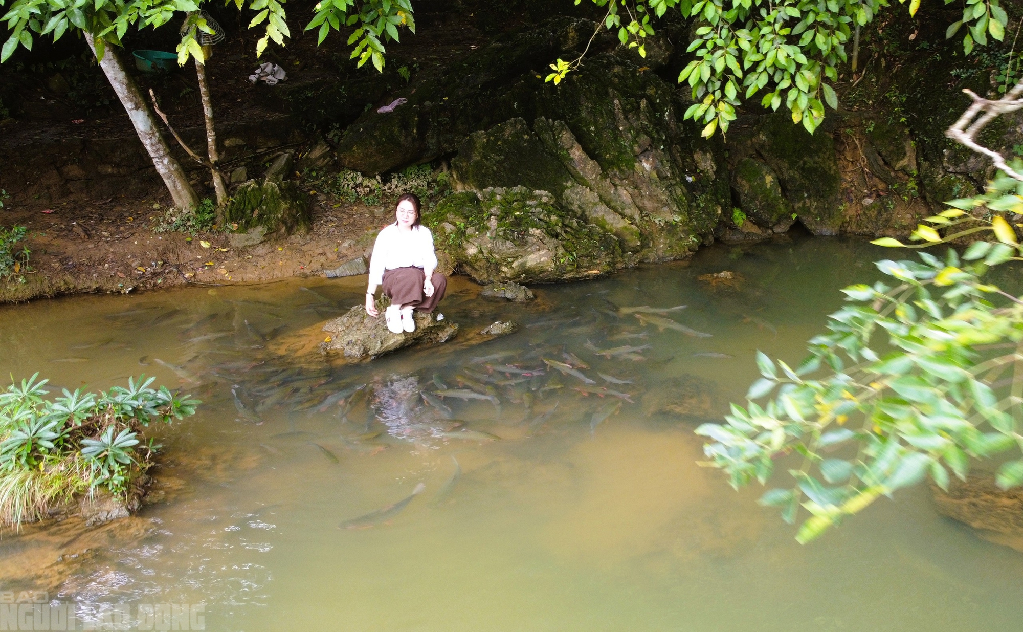 Có một suối "cá thần" khác ở Thanh Hóa mà nhiều người chưa biết- Ảnh 3. Có một suối "cá thần" khác ở Thanh Hóa mà nhiều người chưa biết- Ảnh 3.