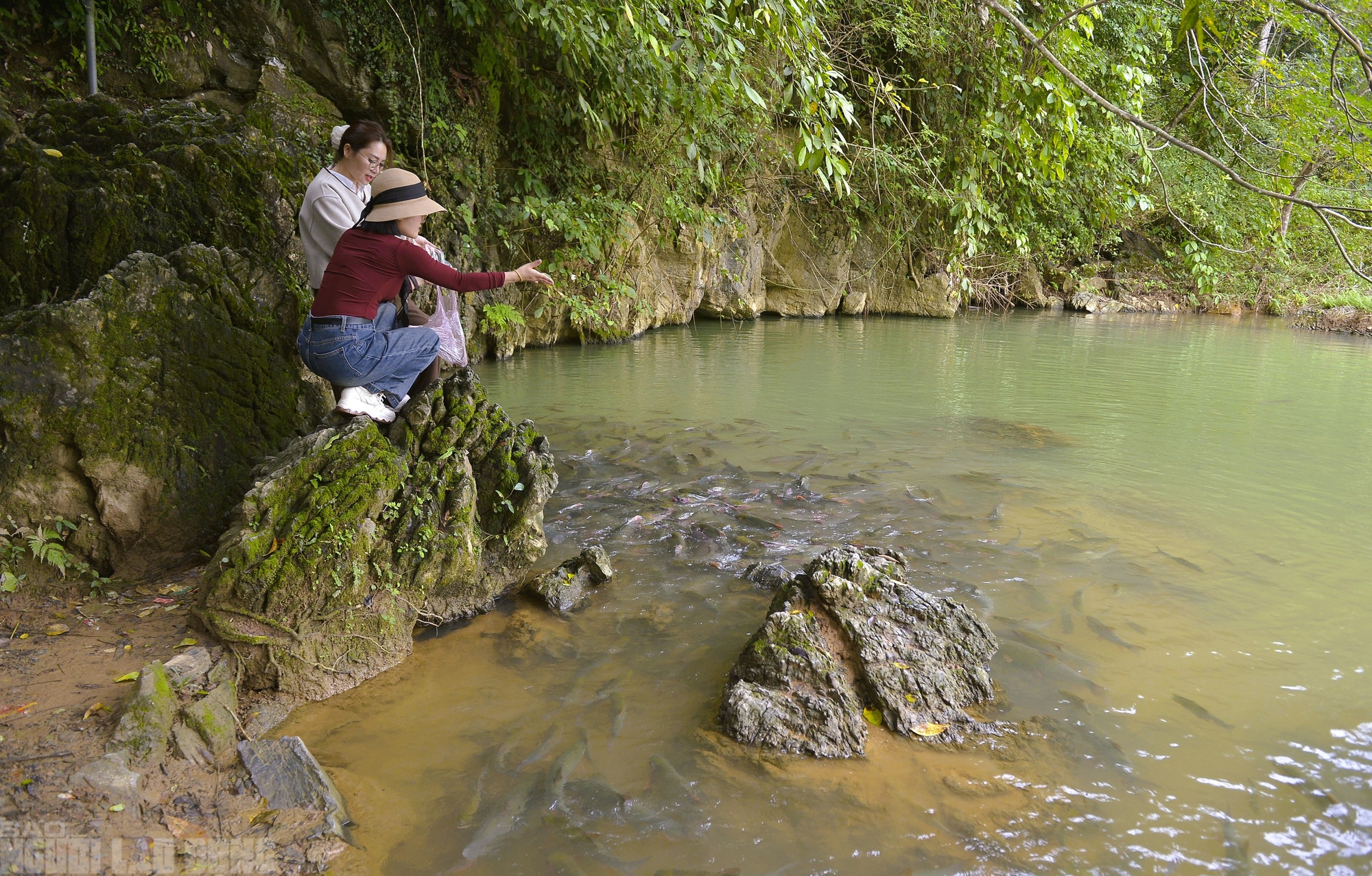 Có một suối "cá thần" khác ở Thanh Hóa mà nhiều người chưa biết- Ảnh 4. Có một suối "cá thần" khác ở Thanh Hóa mà nhiều người chưa biết- Ảnh 4.