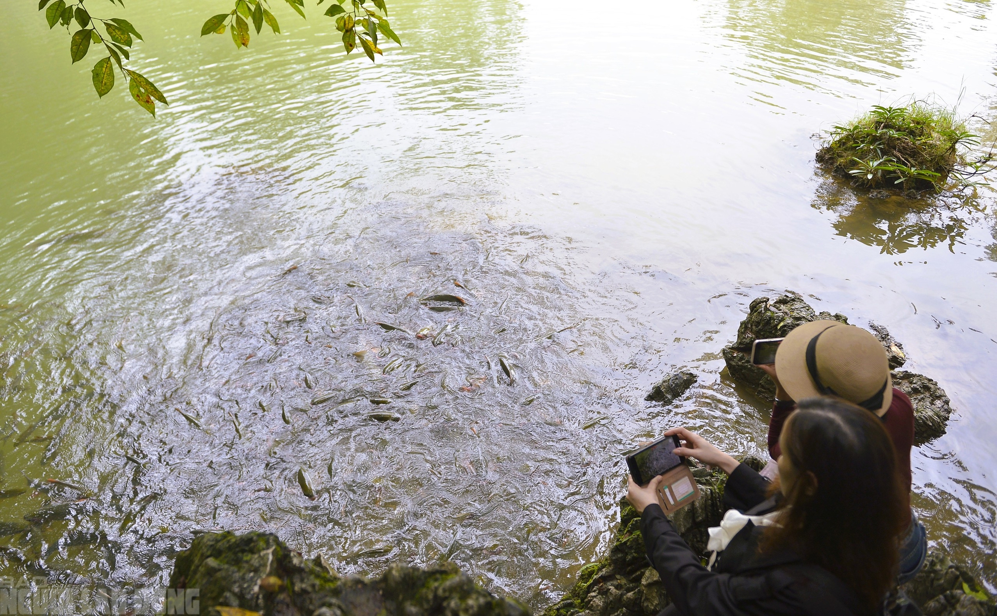 Có một suối "cá thần" khác ở Thanh Hóa mà nhiều người chưa biết- Ảnh 6. Có một suối "cá thần" khác ở Thanh Hóa mà nhiều người chưa biết- Ảnh 6.