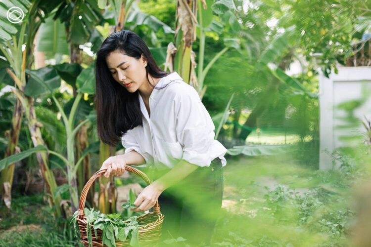 Sau tuổi 50 nên quản lý tiền thế nào để về hưu sống nhàn, không lo thiếu trước hụt sau- Ảnh 3.