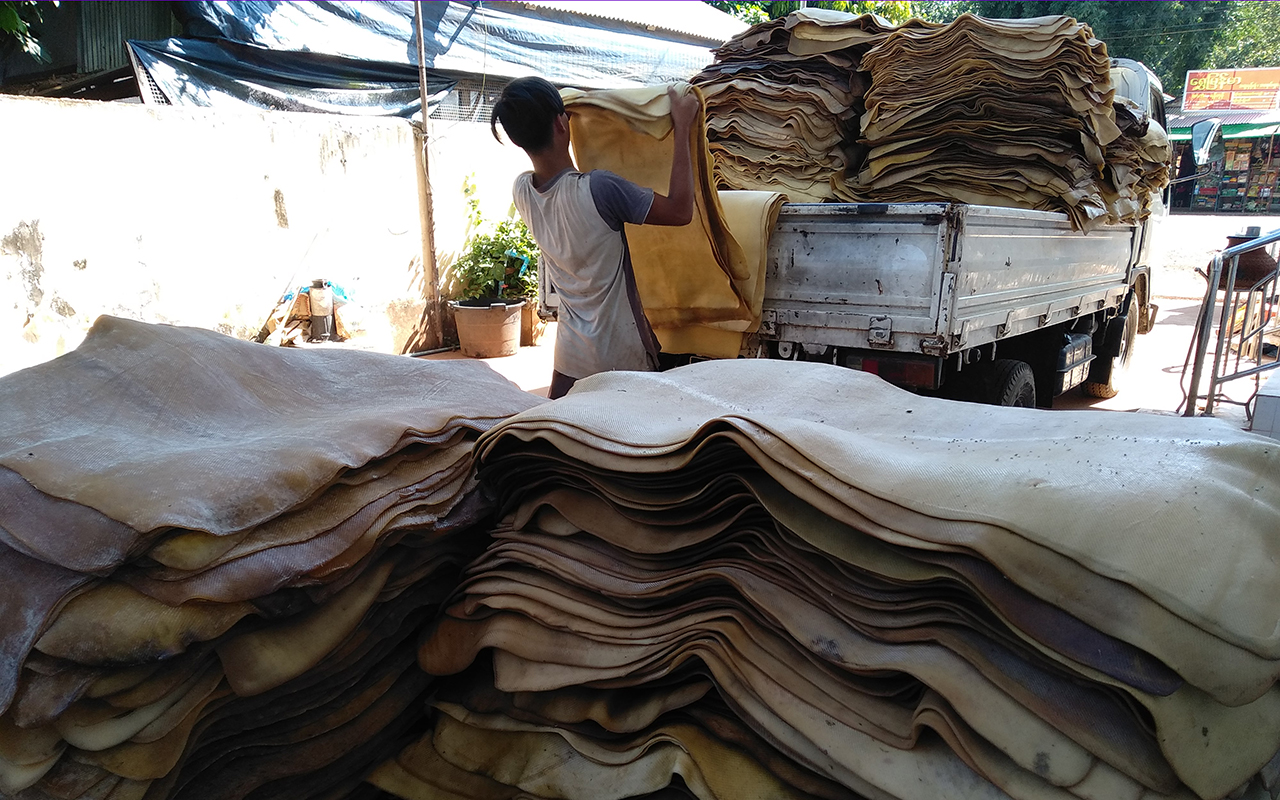 Hàng chục nghìn tấn 'vàng trắng' của Việt Nam được Indonesia tích cực săn lùng: diện tích trồng hơn 900.000 ha, nước ta là ông trùm top 5 thế giới- Ảnh 1. Hàng chục nghìn tấn 'vàng trắng' của Việt Nam được Indonesia tích cực săn lùng: diện tích trồng hơn 900.000 ha, nước ta là ông trùm top 5 thế giới- Ảnh 1.