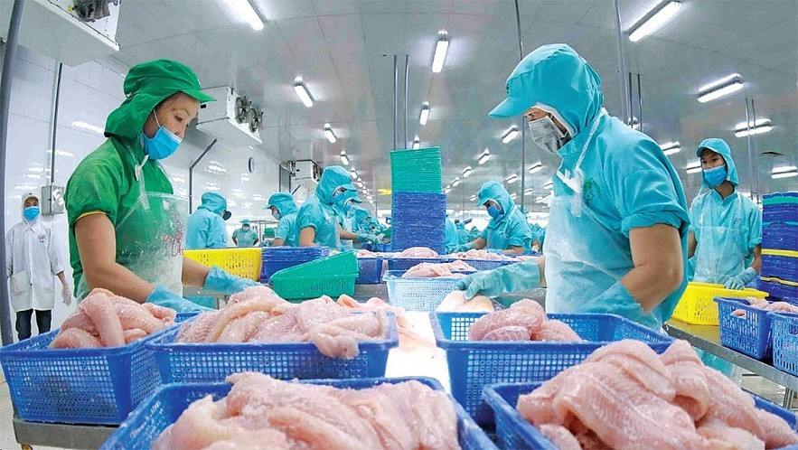 Xuất khẩu thủy sản sang Mỹ biến động do ‘ngấm’ thuế đối ứng- Ảnh 1.