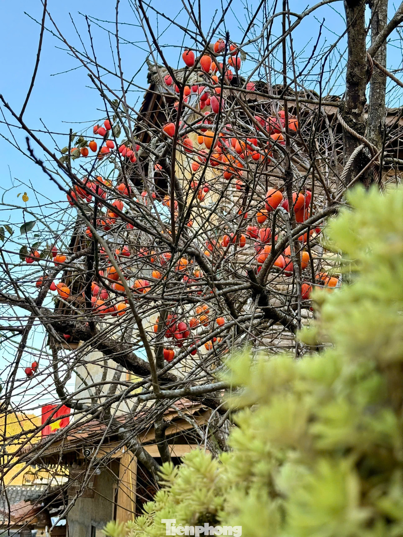 Tọa độ 'xịn nhất' ngắm toàn cảnh làng du lịch tốt nhất thế giới Lô Lô Chải- Ảnh 2.