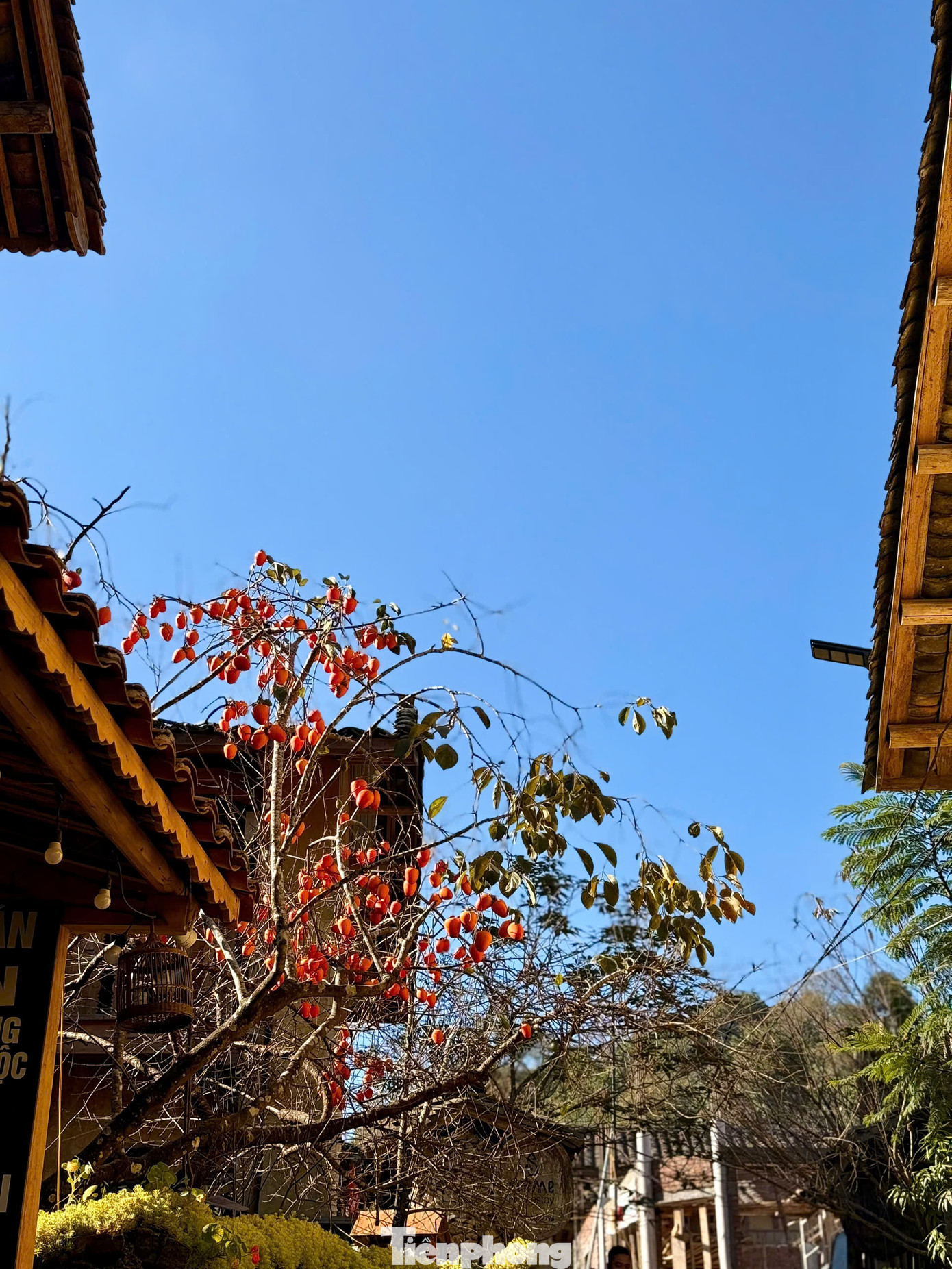 Tọa độ 'xịn nhất' ngắm toàn cảnh làng du lịch tốt nhất thế giới Lô Lô Chải- Ảnh 3.