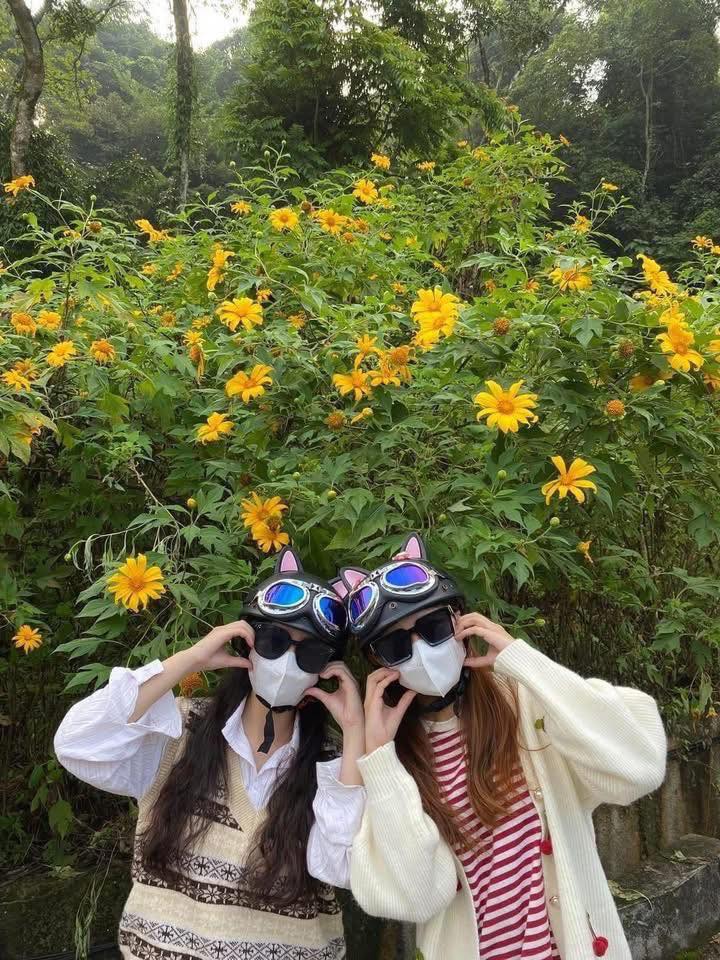 Cảnh tượng ngay lúc này ở Ba Vì, Hà Nội: Du khách trầm trồ nhận xét "Cả năm chỉ có 1 lần!"- Ảnh 2.