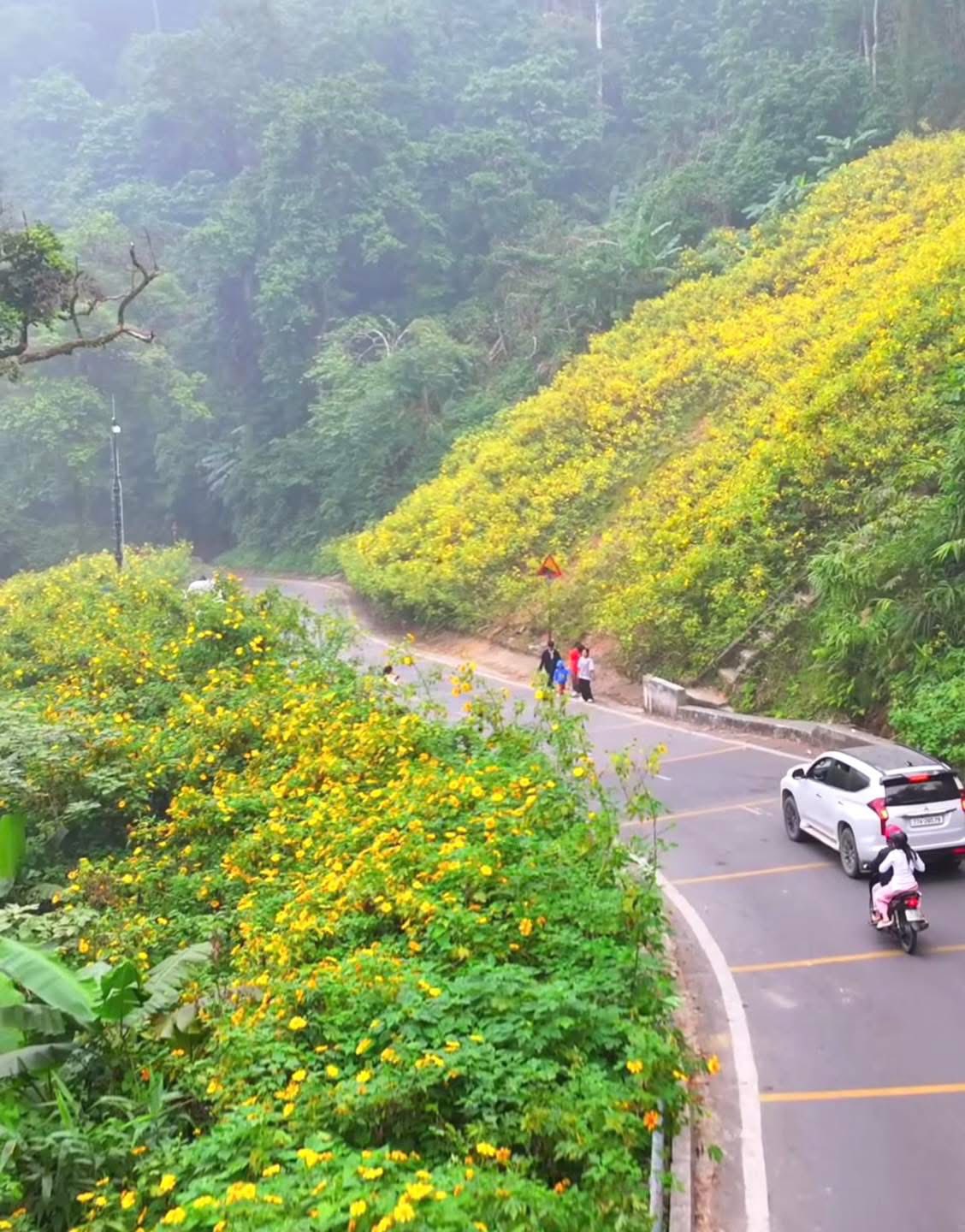 Cảnh tượng ngay lúc này ở Ba Vì, Hà Nội: Du khách trầm trồ nhận xét "Cả năm chỉ có 1 lần!"- Ảnh 1.