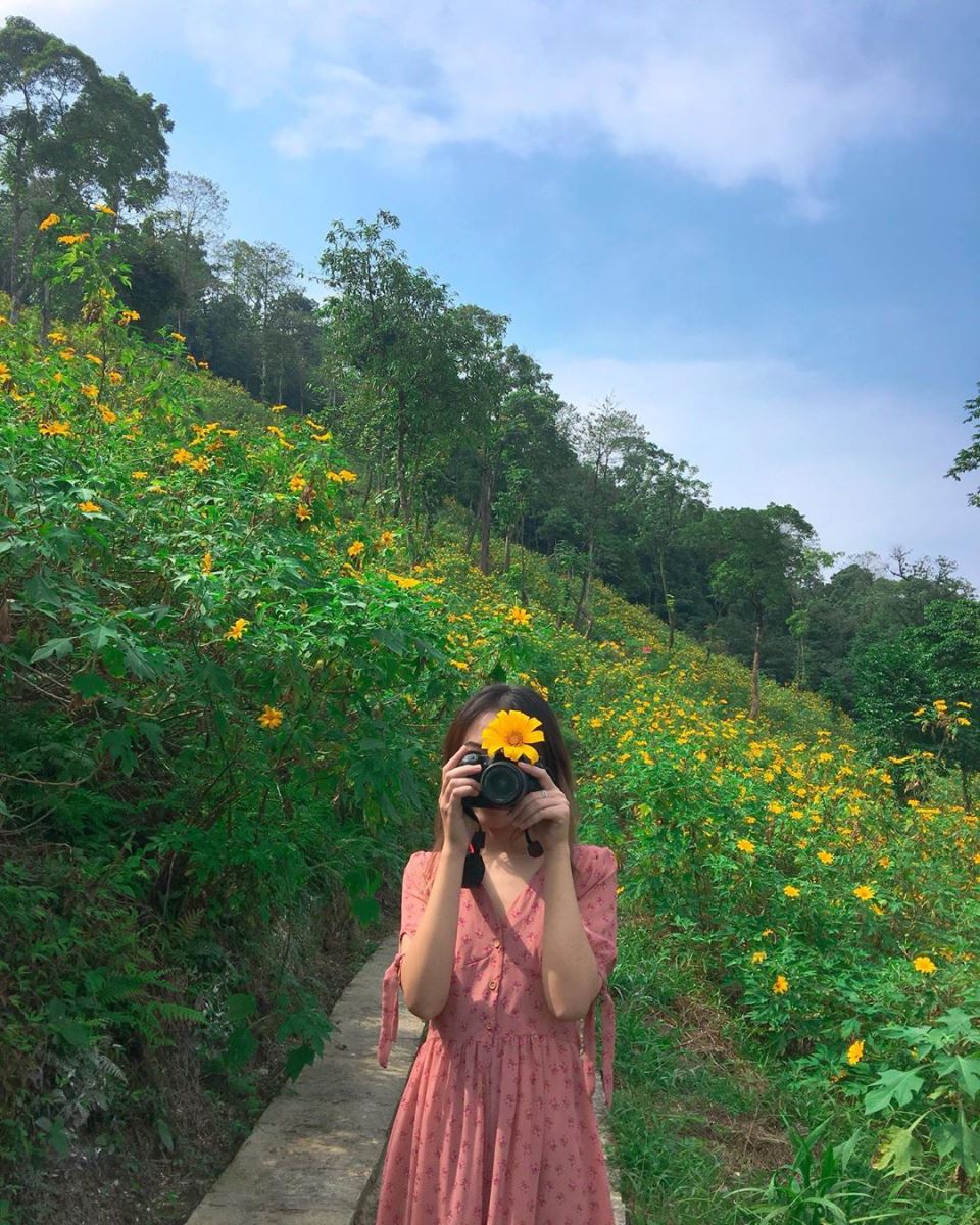 Cảnh tượng ngay lúc này ở Ba Vì, Hà Nội: Du khách trầm trồ nhận xét "Cả năm chỉ có 1 lần!"- Ảnh 11.