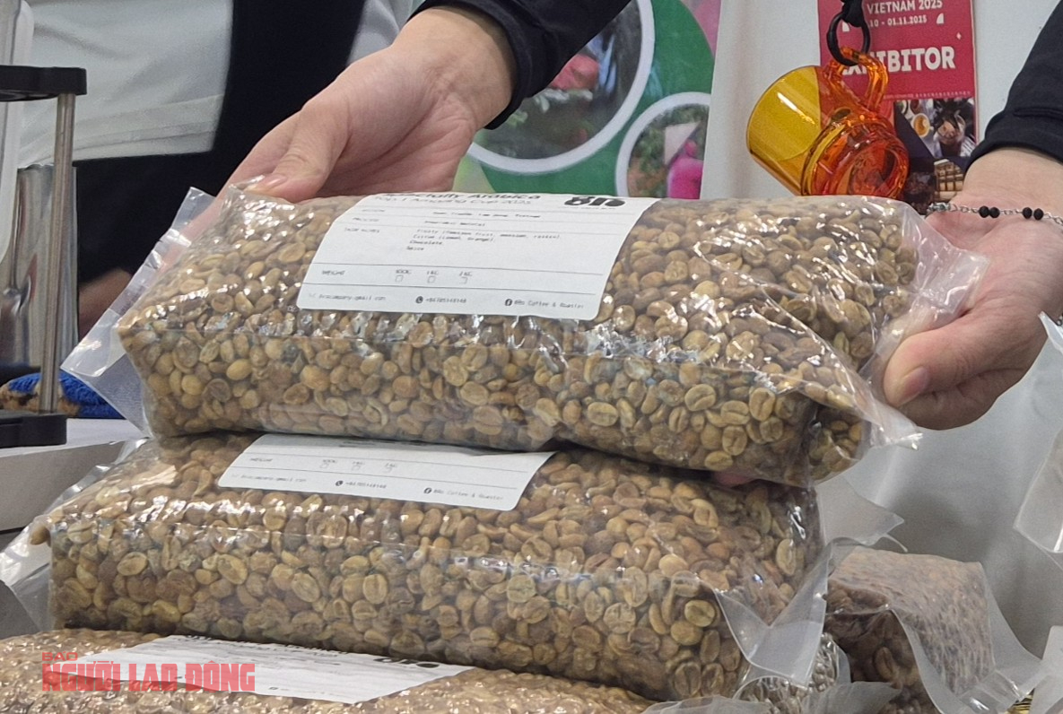 Giá cà phê hôm nay 3-11: Một loại cà phê nhân giá 650.000 đồng/kg- Ảnh 1. Giá cà phê hôm nay 3-11: Một loại cà phê nhân giá 650.000 đồng/kg- Ảnh 1.
