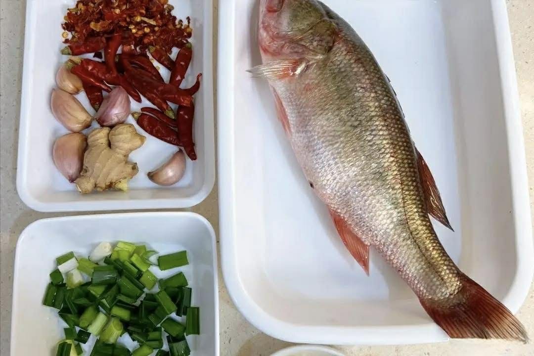 Loại cá này đang rẻ và ngon nhất: Ghim ngay 4 công thức nấu để món ăn vừa mềm mướt, ngọt và không bị tanh- Ảnh 19.