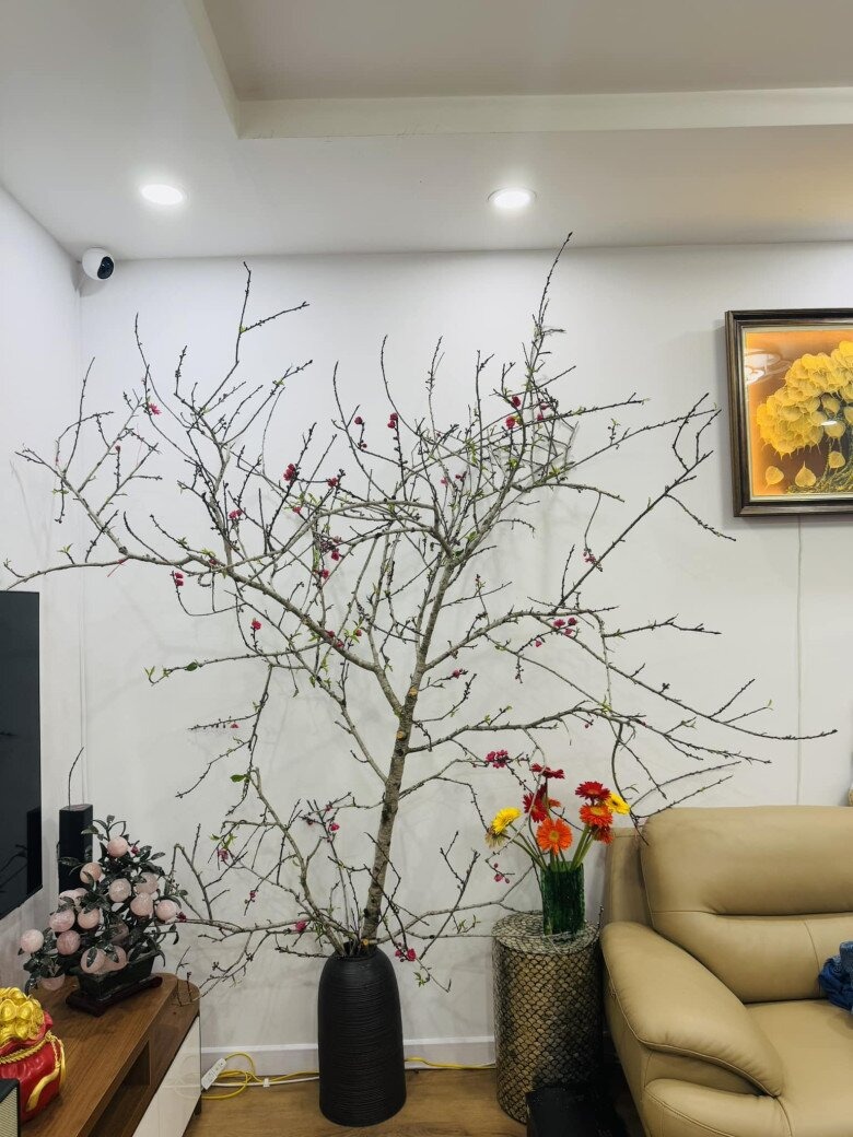 NSND Công Lý đang ở nhà thuê- Ảnh 13. NSND Công Lý đang ở nhà thuê- Ảnh 13.