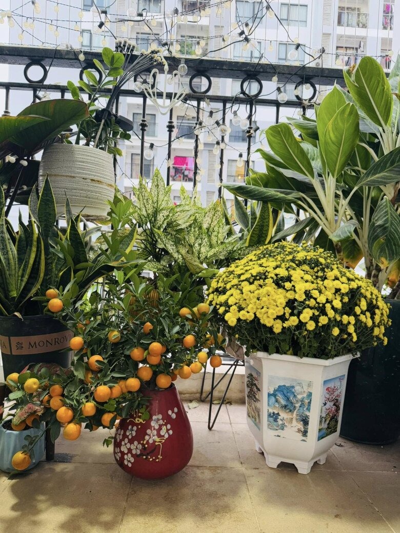 NSND Công Lý đang ở nhà thuê- Ảnh 6. NSND Công Lý đang ở nhà thuê- Ảnh 6.