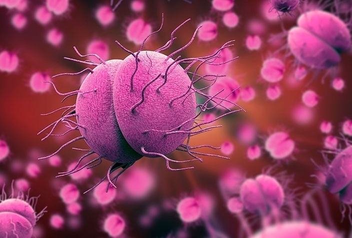 Hà Nội ghi nhận ca mắc não mô cầu là nam thanh niên 24 tuổi- Ảnh 1.