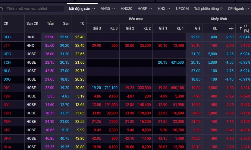 Một cổ phiếu bất động sản bất ngờ ngược dòng “kịch trần” giữa lúc VN-Index giảm sâu- Ảnh 1.