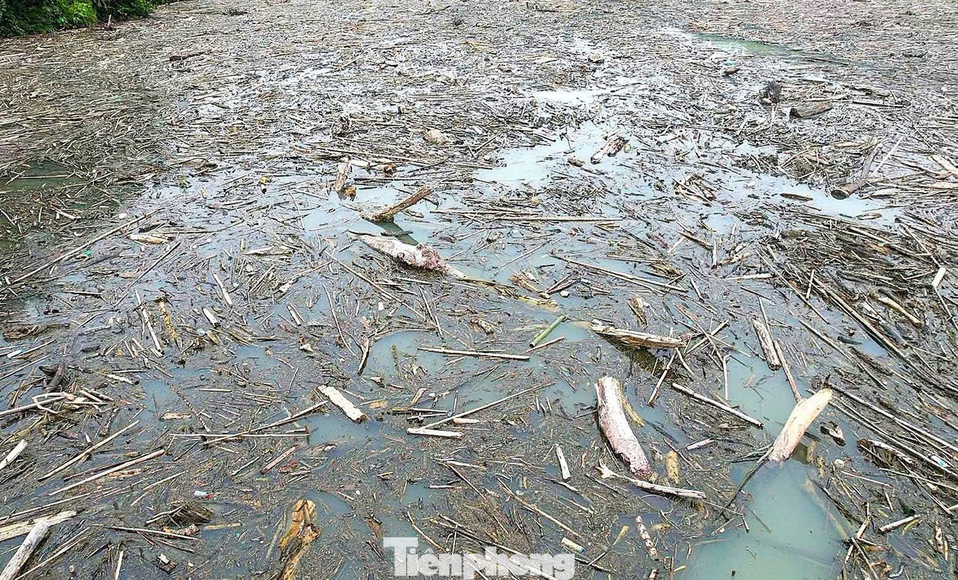 Cận cảnh rác gỗ 'khổng lồ' bủa vây hồ thủy điện lớn thứ 2 tỉnh Nghệ An- Ảnh 5.