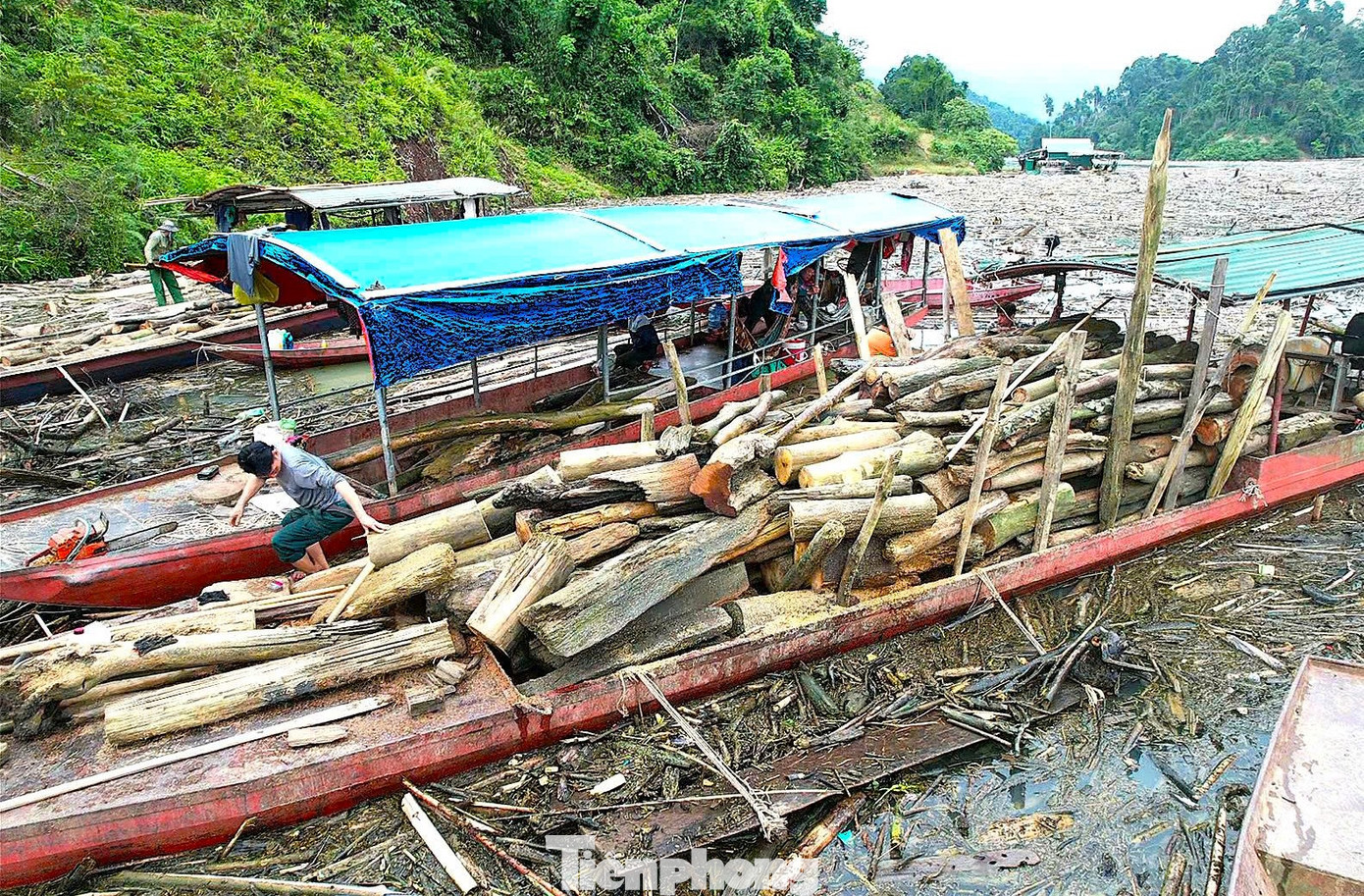 Cận cảnh rác gỗ 'khổng lồ' bủa vây hồ thủy điện lớn thứ 2 tỉnh Nghệ An- Ảnh 12.
