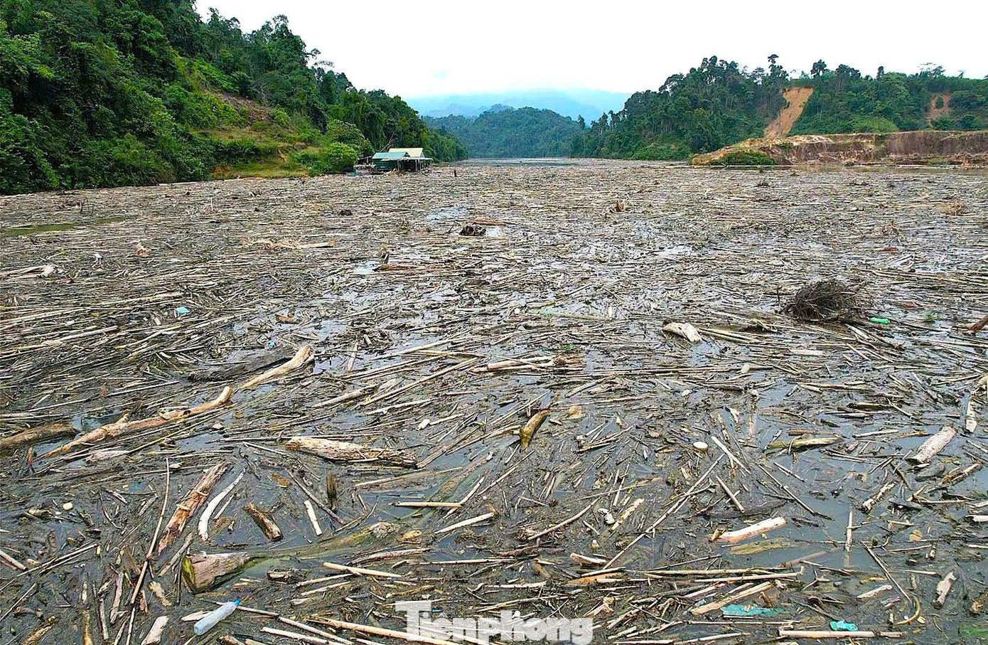 Cận cảnh rác gỗ 'khổng lồ' bủa vây hồ thủy điện lớn thứ 2 tỉnh Nghệ An- Ảnh 1.
