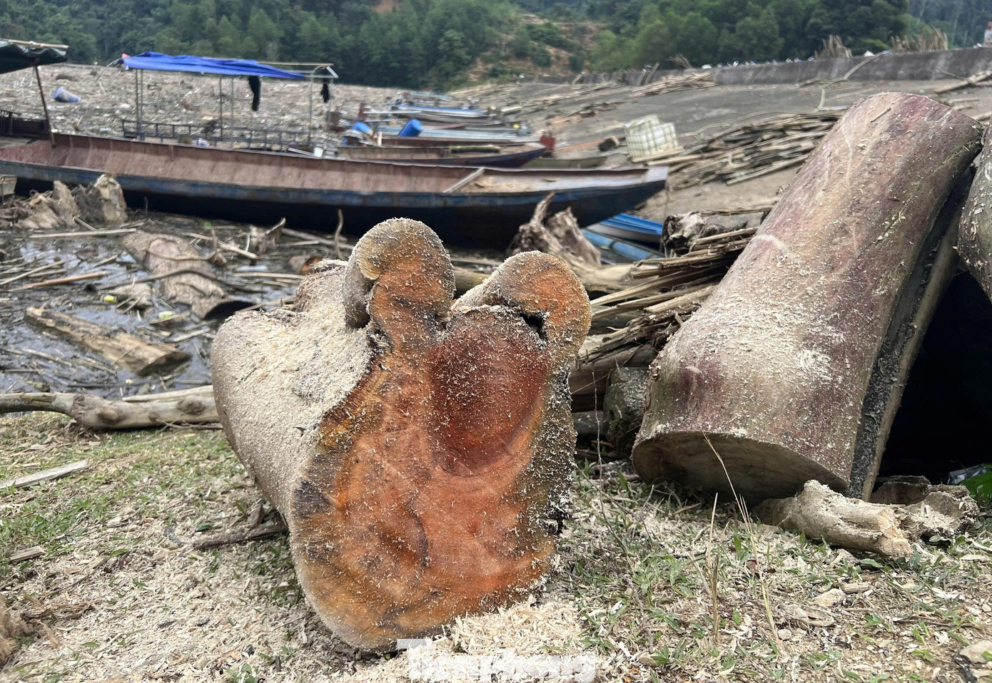 Cận cảnh rác gỗ 'khổng lồ' bủa vây hồ thủy điện lớn thứ 2 tỉnh Nghệ An- Ảnh 7.